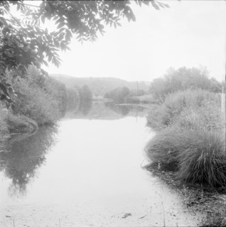 Dietikon; trees reflecting on water; marble pond; 1961