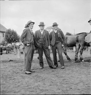 Horse market of Chaindon-Reconvilier, 1941