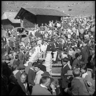 Distribution of cheese in the Justistal Valley, 1964