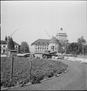 Potato field close to the University ca. 1940