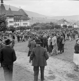 Horse market of Chaindon-Reconvilier, 1941