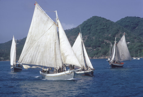 Reportage on the Caribbean islands: fishing boats
