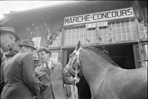 63rd Marché-Concours Saignelégier, Halle Cantine, 1966