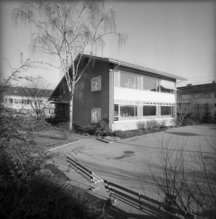 Behavior research, ethology at kindergarten, Zurich 1958