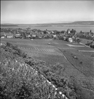 Winegrowers village Twann, 1947
