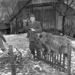 Jakob Stoll and his 100th killed wild boar, 1958