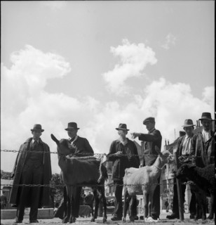 Men at cattle market in Bulle, 1946