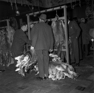 Zurich; hunters offering pelts for sale; 1964