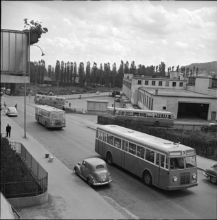 Buses of the VBZ, 1952
