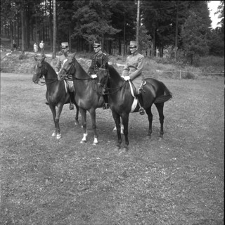 Olympic Games Helsinki 1952: Team competition; the Swedes are champions