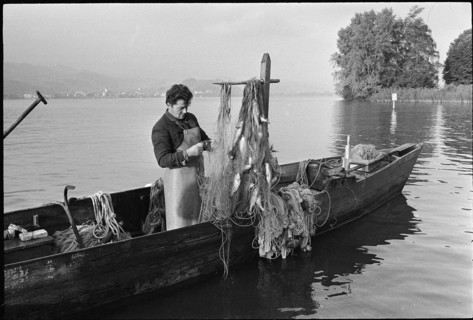 Professional fisherman at work on Lake Zurich 1971