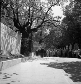 May 8th. 1945: Armistice's day in Geneva