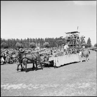 49th Marché Concours Saignelégier, 1952