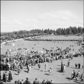 49th Marché Concours Saignelégier, 1952