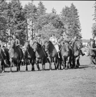 60th Marché Concours Saignelégier, 1963