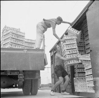 WW2: farming camp; unloading empty crates, 1943.