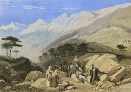 Mount Lebanon. Cedars. Engraving by Ransonnette. Later colouration. ""La Tierra Santa y los lugares