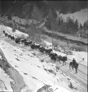 Schlitteda on New Year's Day 1942