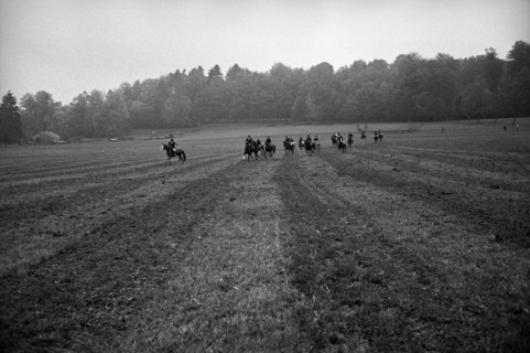 Agriculture