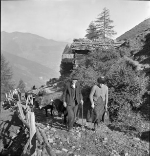 Alpine ascent in Valais, 1942