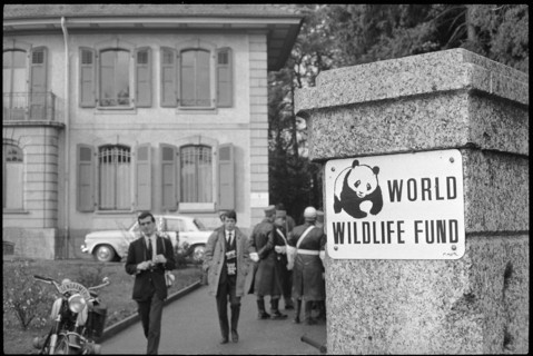 Prince Philip, visit to the WWF, Morges 1965