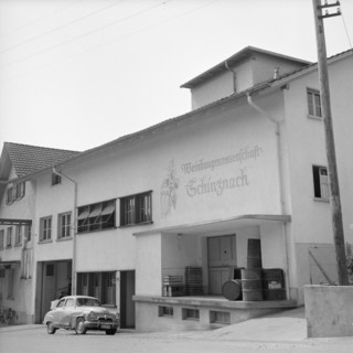 Schinznach winegrowing cooperative, 1959