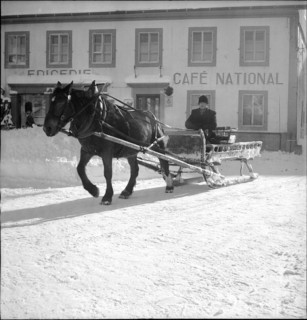 Coachman, La Brévine 1951