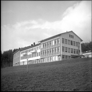 Swiss Serum and Vaccine Institute, Grafenried 1956