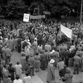 Solidarity with fired zoo director; dismissal; 1958
