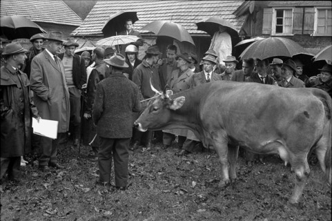 Kirchberg, Gant on a farm, 1965