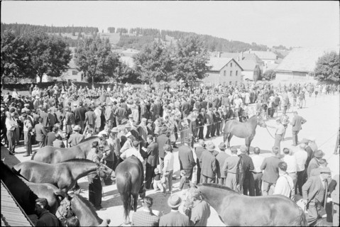 60th Marché-Concours Saignelégier, 1963
