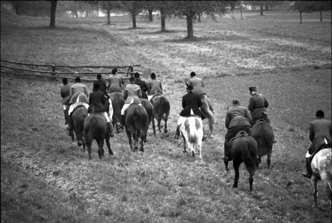 Hunting wild boars in Elgg, 1950