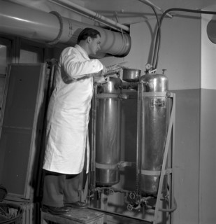 Cigarette factory Burrus, 1960