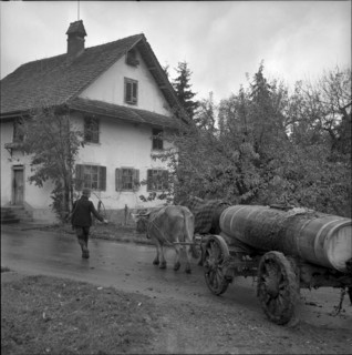 Half-timbered house Marthalen village green, 1968