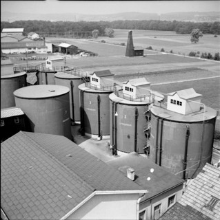 Rheineck SG, main street, 1951