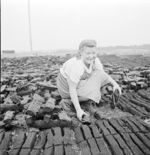 Peat cutter near Boswil, 1945