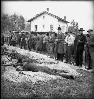 Hohle Gasse shooting in Küssnacht, 1945