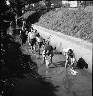 Boys catching fish with a net, Aarau 1944