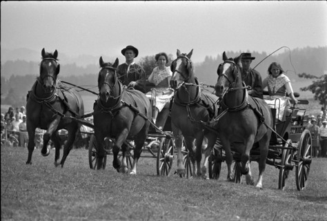 66th Marché Concours Saignelégier, 1969