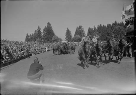 48th MarchéConcours Saignelégier, fourinhand chariot race, 1951