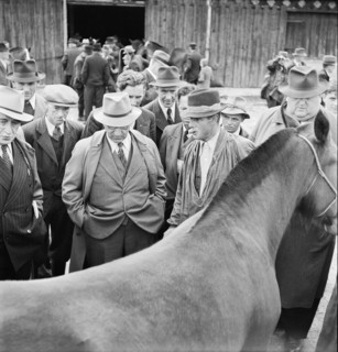 42nd MarchéConcours Saignelégier, horse market, 1945