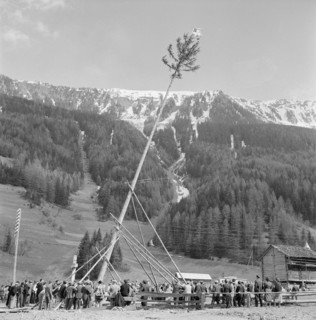 Erection of the Maypole in PrazdeFort, 1954