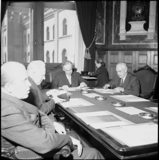 Initiative Committee for the Protection of the Rheinau at the Federal Council, 1954