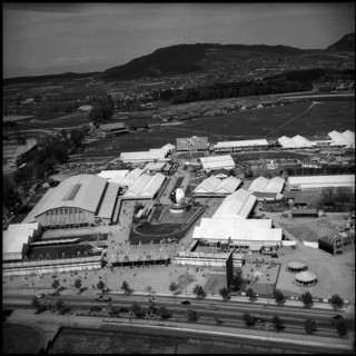 HOSPES 1954