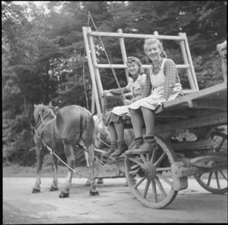 Horsedrawn cart, Jestetten border at the end of the war, 1945
