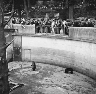 Landi 1939: Lord Mayor of London visiting the Bärengraben in Bern.