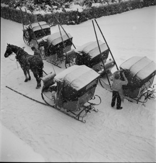 Davos: snow-covered horse-drawn sleighs; 1949.