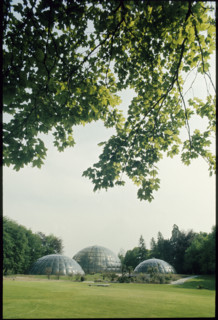 Greenhouses in Botanical Garden Zurich 1986.