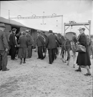 Horse market of Chaindon-Reconvilier, railway station, 1941.