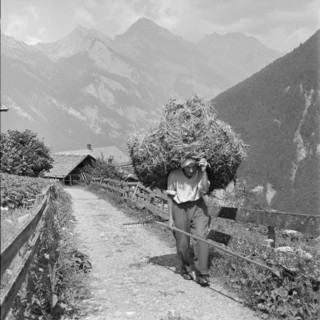 Hay harvest in Isenfluh, 1959.